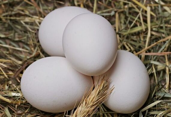 Dieta jajeczna polega na codziennym jedzeniu jaj kurzych. 